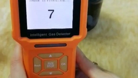 Tragbarer IP66-Mehrfachgasdetektor 4 in 1 für den intelligenten Detektor für brennbare und toxische Gase Lel/O2/Co/H2s