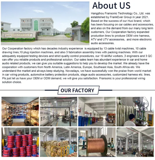 16A WiFi Plug EU Funktioniert mit Google Home WiFi Smart Plug