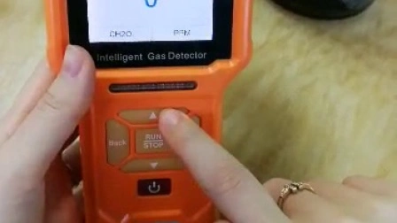 Tragbarer IP66-Ammoniak-Gasdetektor mit elektrochemischem Gassensor (NH3 0–100 ppm)