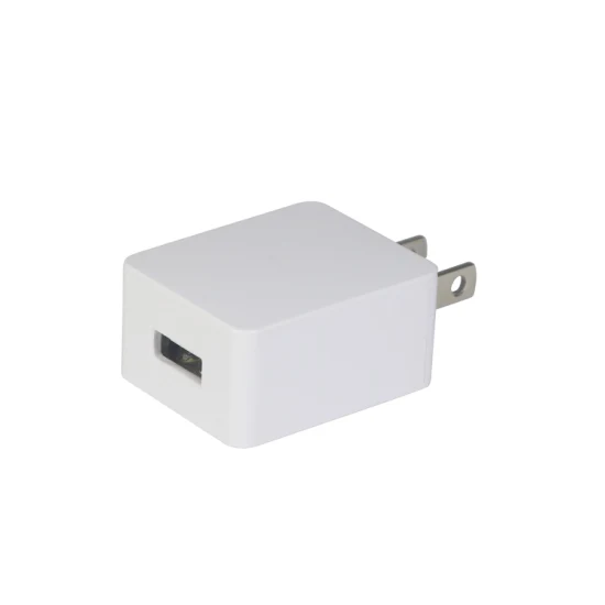 Universeller Dual-Port-USB-Wandladegerät-Schnelladapter, 5 V, 2,1 A, Plug-in-Reiseladenetzteile, Ersatz für die meisten Smartphones, Tablets und Powerbanks